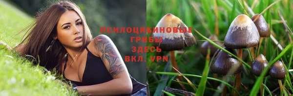 экстази Алексин