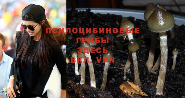 крисы Алексеевка