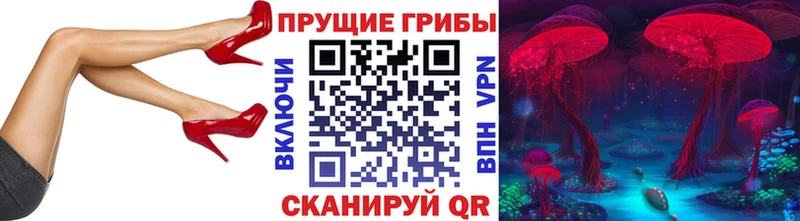 магазин продажи наркотиков  Кола  Псилоцибиновые грибы GOLDEN TEACHER 